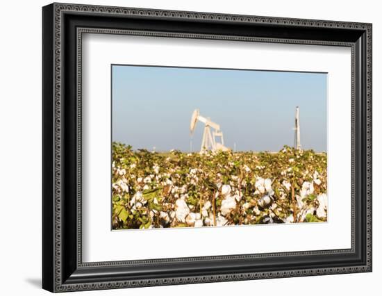 USA, Texas. Martin County, Pumpjack on cotton field-Alison Jones-Framed Photographic Print