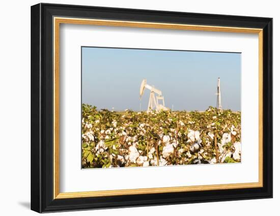 USA, Texas. Martin County, Pumpjack on cotton field-Alison Jones-Framed Photographic Print