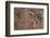 Usa Three Kings Petroglyph, Dinosaur National Monument-Judith Zimmerman-Framed Photographic Print