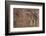 Usa Three Kings Petroglyph, Dinosaur National Monument-Judith Zimmerman-Framed Photographic Print