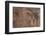 Usa Three Kings Petroglyph, Dinosaur National Monument-Judith Zimmerman-Framed Photographic Print