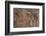 Usa Three Kings Petroglyph, Dinosaur National Monument-Judith Zimmerman-Framed Photographic Print