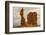 USA, Utah, Arches National Park. Close-up of Balanced Rock-Cathy & Gordon Illg-Framed Photographic Print