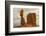 USA, Utah, Arches National Park. Close-up of Balanced Rock-Cathy & Gordon Illg-Framed Photographic Print