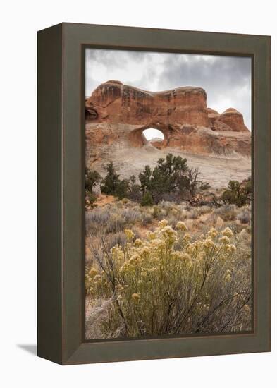 USA, Utah, Arches National Park. Scenic of Tunnel Arch-Cathy & Gordon Illg-Framed Premier Image Canvas