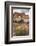 USA, Utah, Arches National Park. Scenic of Tunnel Arch-Cathy & Gordon Illg-Framed Photographic Print