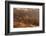 USA, Utah, Bears Ears National Monument. Wolfman Panel of petroglyphs in Butler Wash.-Jaynes Gallery-Framed Photographic Print