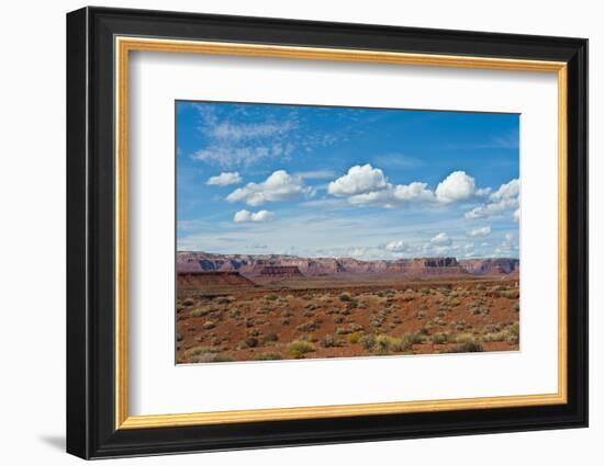 USA, Utah, Bluff, Valley of The Gods, Panorama, Bears Ears National Monument-Bernard Friel-Framed Photographic Print