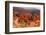 USA, Utah, Bryce Canyon, Amphitheater, Sunrise-Catharina Lux-Framed Photographic Print