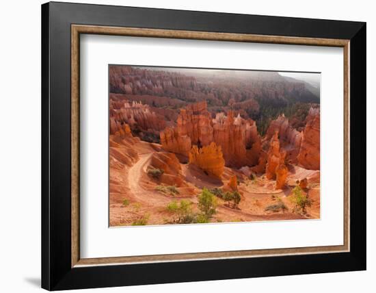 USA, Utah, Bryce Canyon, Amphitheater, Sunrise-Catharina Lux-Framed Photographic Print