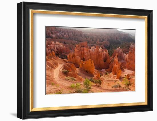 USA, Utah, Bryce Canyon, Amphitheater, Sunrise-Catharina Lux-Framed Photographic Print