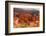 USA, Utah, Bryce Canyon, Amphitheater, Sunrise-Catharina Lux-Framed Photographic Print