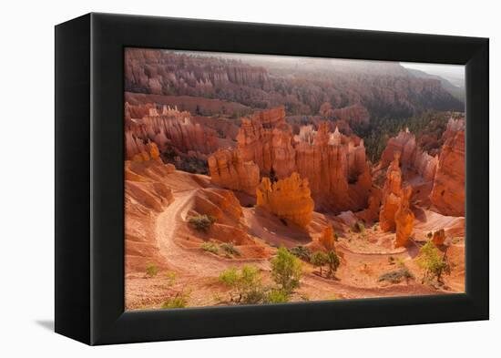 USA, Utah, Bryce Canyon, Amphitheater, Sunrise-Catharina Lux-Framed Premier Image Canvas