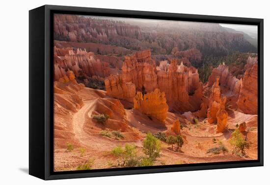 USA, Utah, Bryce Canyon, Amphitheater, Sunrise-Catharina Lux-Framed Premier Image Canvas