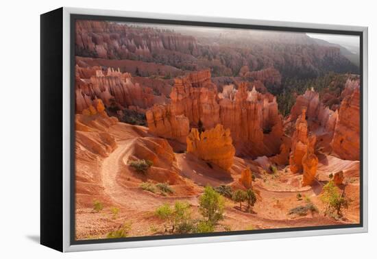 USA, Utah, Bryce Canyon, Amphitheater, Sunrise-Catharina Lux-Framed Premier Image Canvas