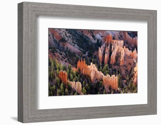 USA, Utah, Bryce Canyon, Amphitheatre-Catharina Lux-Framed Photographic Print