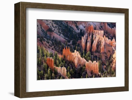 USA, Utah, Bryce Canyon, Amphitheatre-Catharina Lux-Framed Photographic Print