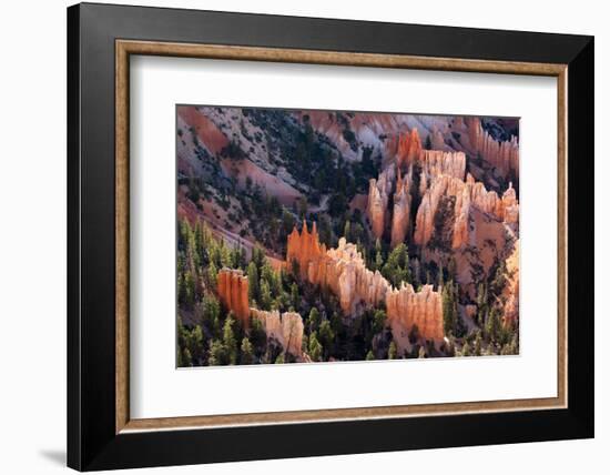 USA, Utah, Bryce Canyon, Amphitheatre-Catharina Lux-Framed Photographic Print