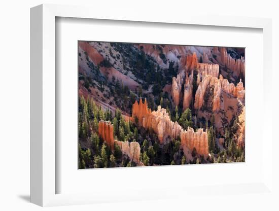 USA, Utah, Bryce Canyon, Amphitheatre-Catharina Lux-Framed Photographic Print