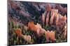 USA, Utah, Bryce Canyon, Amphitheatre-Catharina Lux-Mounted Photographic Print