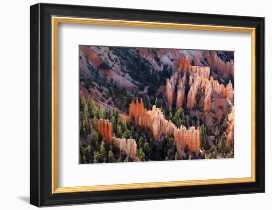 USA, Utah, Bryce Canyon, Amphitheatre-Catharina Lux-Framed Photographic Print