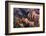 USA, Utah, Bryce Canyon, Amphitheatre-Catharina Lux-Framed Photographic Print