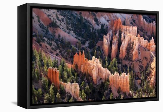 USA, Utah, Bryce Canyon, Amphitheatre-Catharina Lux-Framed Premier Image Canvas