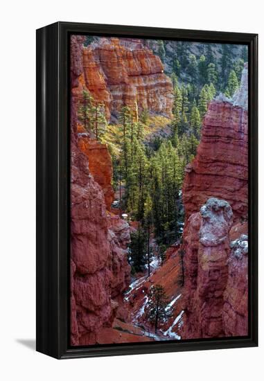 USA, Utah, Bryce Canyon National Park. Close-up of Hoodoos-Jay O'brien-Framed Premier Image Canvas