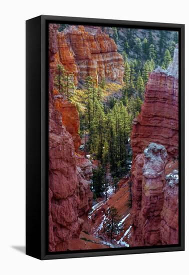 USA, Utah, Bryce Canyon National Park. Close-up of Hoodoos-Jay O'brien-Framed Premier Image Canvas