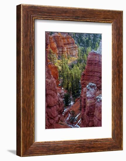 USA, Utah, Bryce Canyon National Park. Close-up of Hoodoos-Jay O'brien-Framed Photographic Print