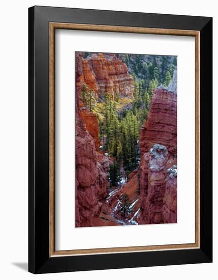 USA, Utah, Bryce Canyon National Park. Close-up of Hoodoos-Jay O'brien-Framed Photographic Print