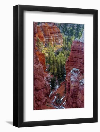 USA, Utah, Bryce Canyon National Park. Close-up of Hoodoos-Jay O'brien-Framed Photographic Print