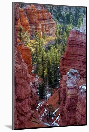USA, Utah, Bryce Canyon National Park. Close-up of Hoodoos-Jay O'brien-Mounted Photographic Print