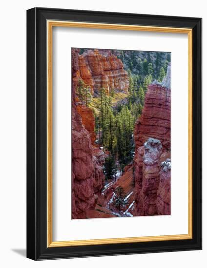 USA, Utah, Bryce Canyon National Park. Close-up of Hoodoos-Jay O'brien-Framed Photographic Print