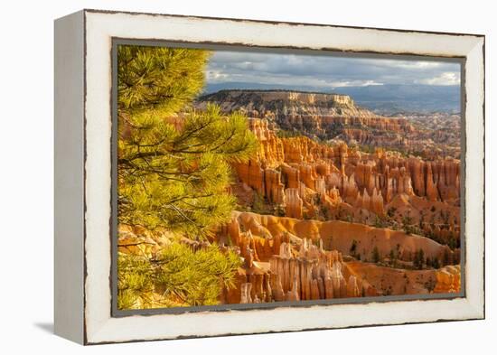 USA, Utah, Bryce Canyon National Park. Overview of canyon formations.-Jaynes Gallery-Framed Premier Image Canvas