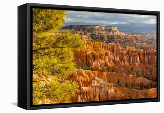 USA, Utah, Bryce Canyon National Park. Overview of canyon formations.-Jaynes Gallery-Framed Premier Image Canvas