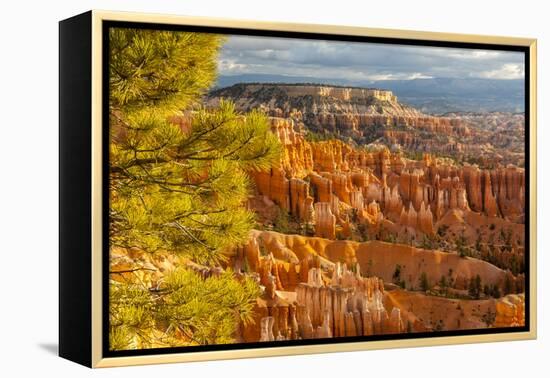 USA, Utah, Bryce Canyon National Park. Overview of canyon formations.-Jaynes Gallery-Framed Premier Image Canvas