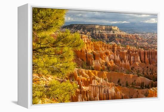 USA, Utah, Bryce Canyon National Park. Overview of canyon formations.-Jaynes Gallery-Framed Premier Image Canvas