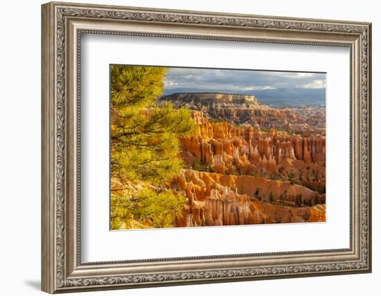 USA, Utah, Bryce Canyon National Park. Overview of canyon formations.-Jaynes Gallery-Framed Photographic Print