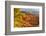 USA, Utah, Bryce Canyon National Park. Overview of canyon formations.-Jaynes Gallery-Framed Photographic Print