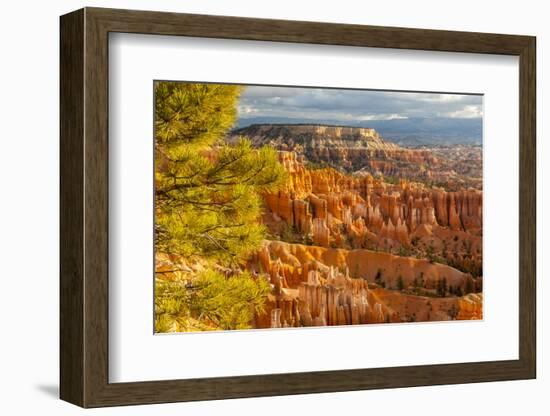 USA, Utah, Bryce Canyon National Park. Overview of canyon formations.-Jaynes Gallery-Framed Photographic Print