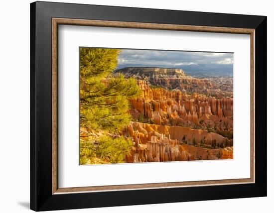 USA, Utah, Bryce Canyon National Park. Overview of canyon formations.-Jaynes Gallery-Framed Photographic Print