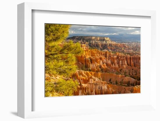 USA, Utah, Bryce Canyon National Park. Overview of canyon formations.-Jaynes Gallery-Framed Photographic Print