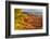 USA, Utah, Bryce Canyon National Park. Overview of canyon formations.-Jaynes Gallery-Framed Photographic Print