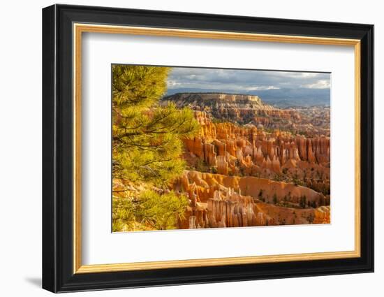 USA, Utah, Bryce Canyon National Park. Overview of canyon formations.-Jaynes Gallery-Framed Photographic Print