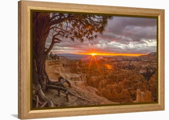 USA, Utah, Bryce Canyon National Park. Sunrise on canyon.-Jaynes Gallery-Framed Premier Image Canvas