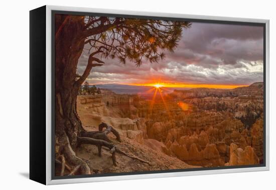 USA, Utah, Bryce Canyon National Park. Sunrise on canyon.-Jaynes Gallery-Framed Premier Image Canvas