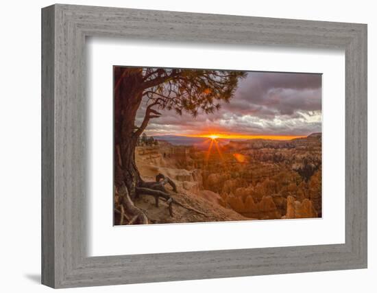 USA, Utah, Bryce Canyon National Park. Sunrise on canyon.-Jaynes Gallery-Framed Photographic Print