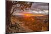 USA, Utah, Bryce Canyon National Park. Sunrise on canyon.-Jaynes Gallery-Mounted Photographic Print