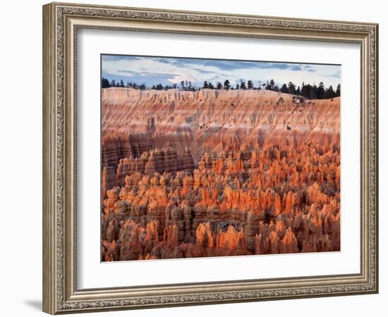 USA, Utah, Bryce Canyon National Park. Sunrise Touches Hoodoos at Sunset Point-Ann Collins-Framed Photographic Print